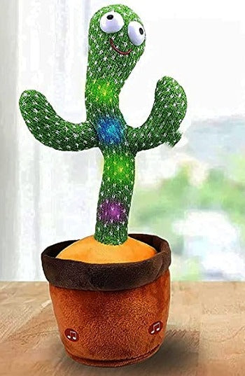 cactus-qui-danse-seul